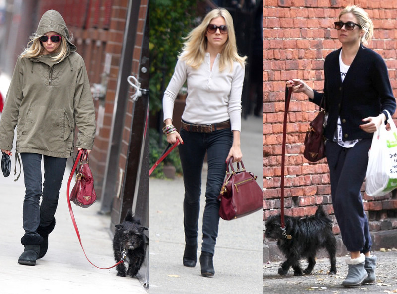 Look da star: Sienna Miller con il suo cane